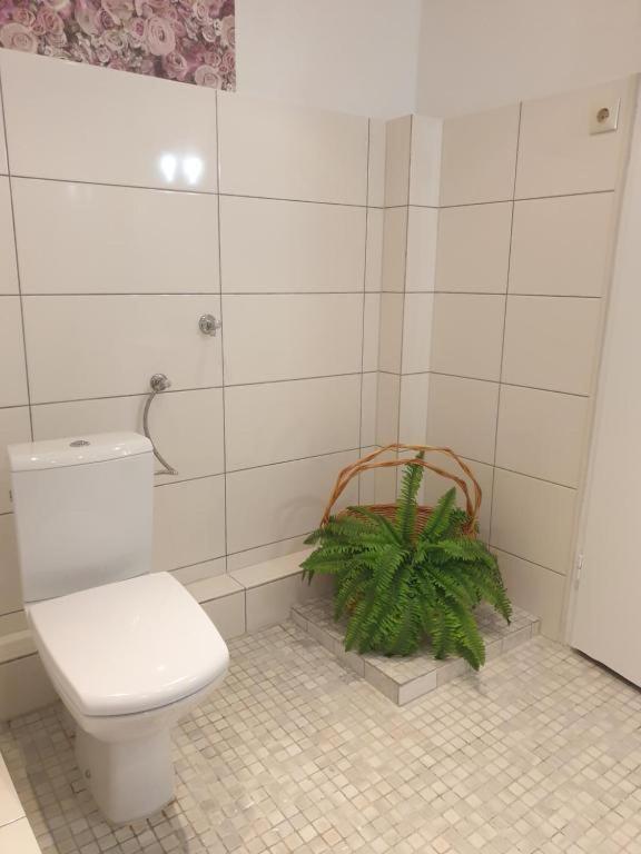 Ferienwohnungen Lemberg Hagen  Luaran gambar